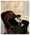 DSCF9339.JPG