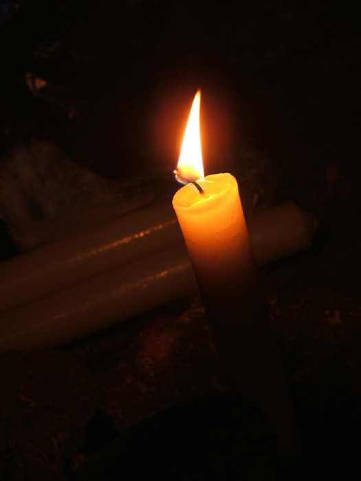 DSCF3954