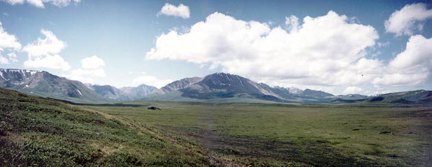 ����� �����-����. ��� �� �������� ����