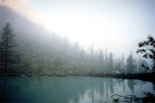 T���� �� ����� ����������