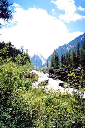 ���� �����. � �������� � �����.