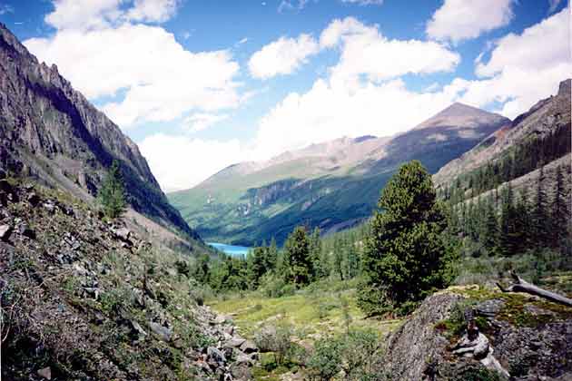 ������ �����