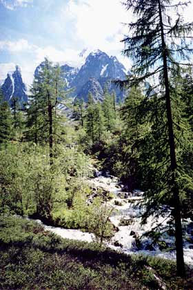 ������ �����