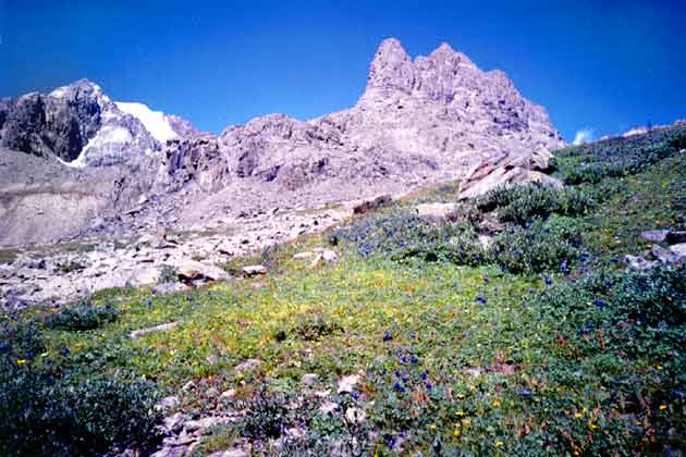 ���������� �����������