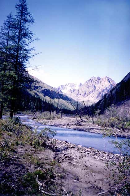 ���� �����