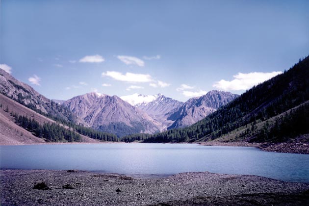 ����� �����