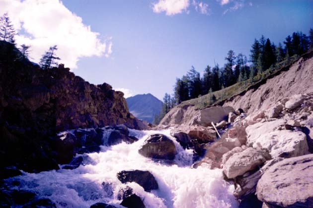 ���� �� ��. �����