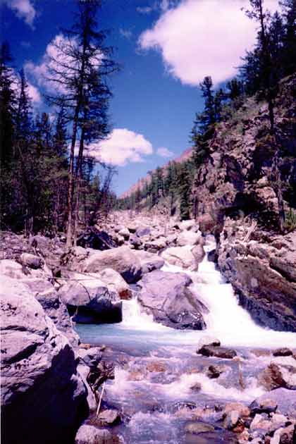 ���� �����