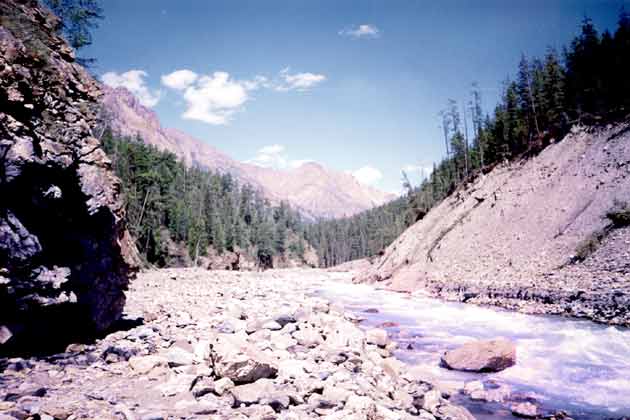 ���� ������� ����� ������� � �����