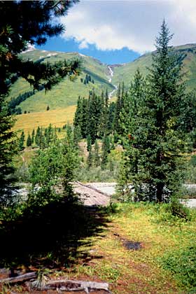 � ����� ����� �. ����� ������.