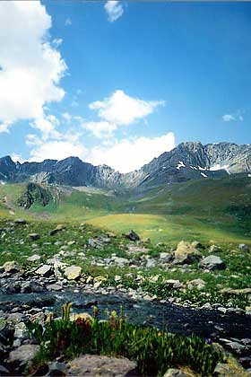 ��� �� ���. �������.