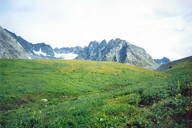 ����������� ��������.