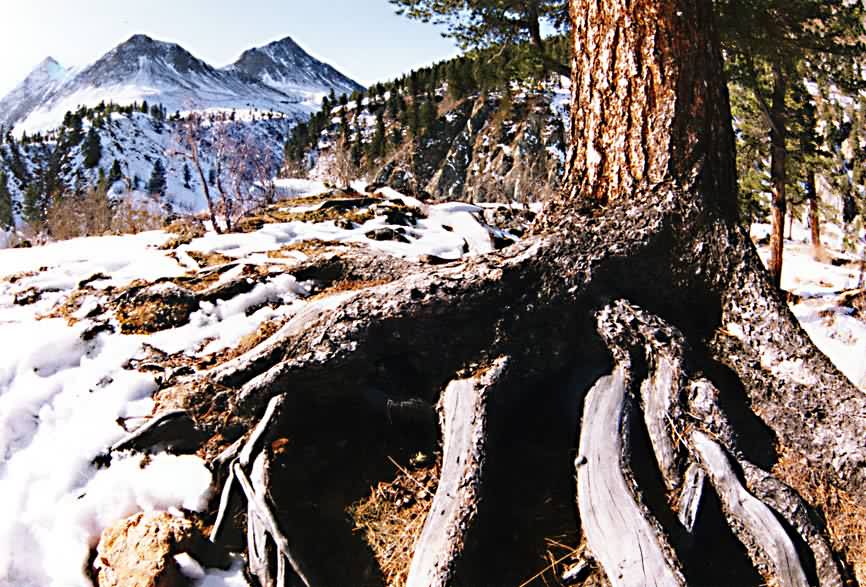 pic9